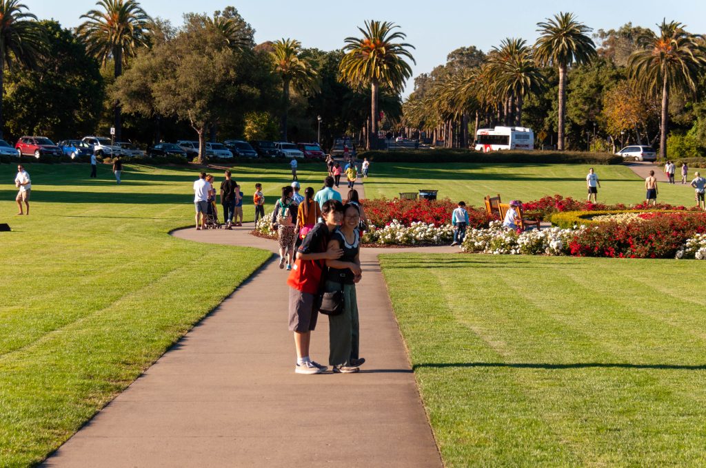 Stanford University