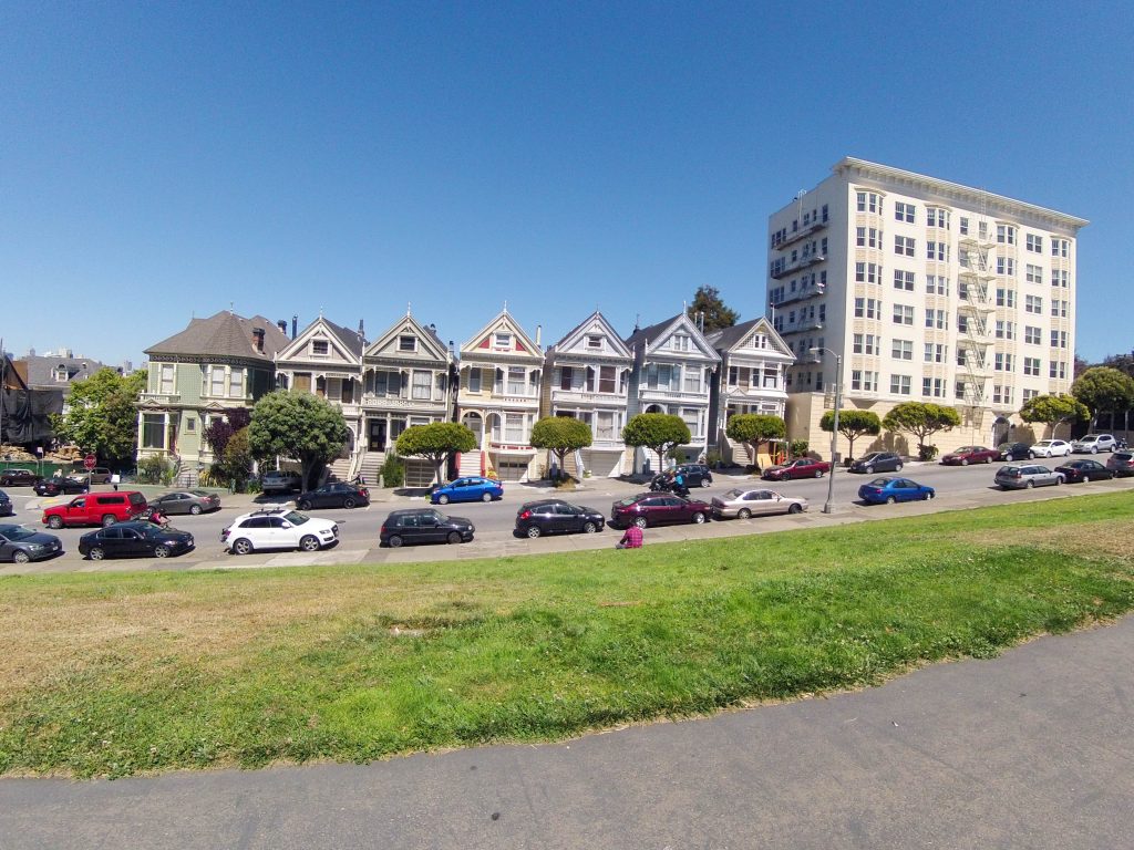 Painted Ladies